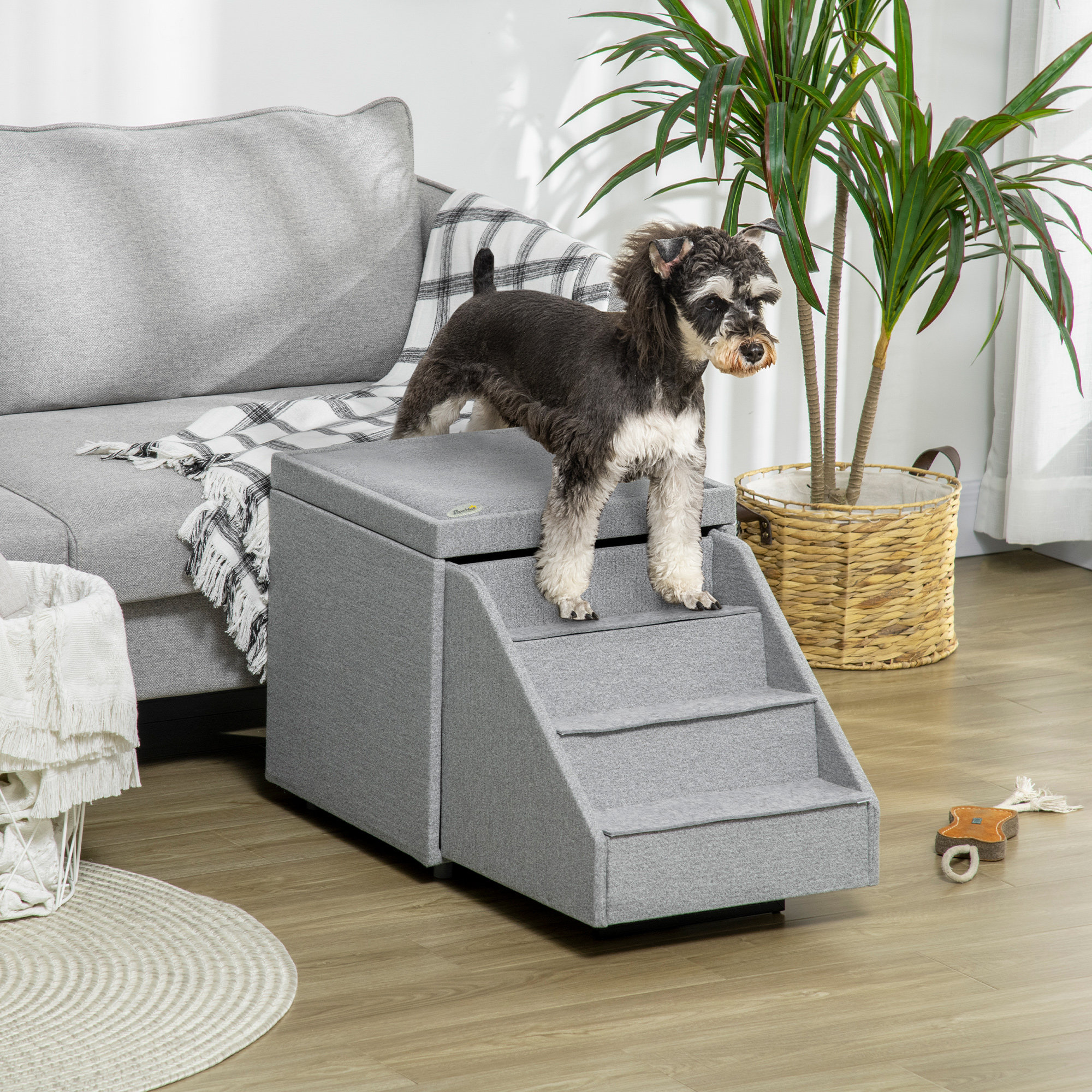 Dog steps with storage shop